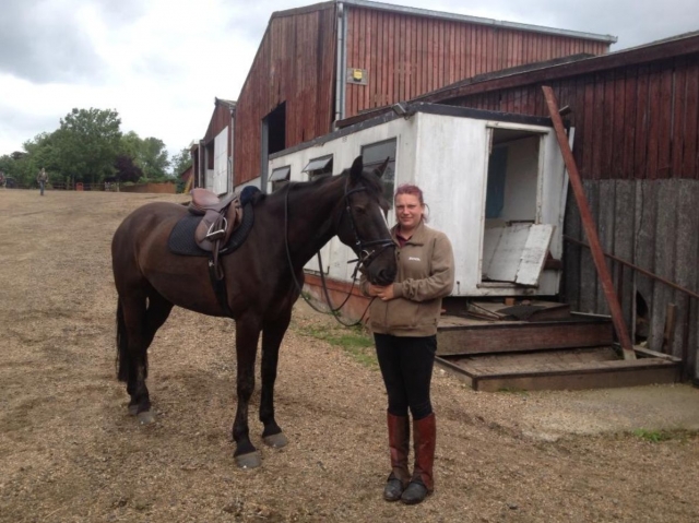  Con un caballo marrón 